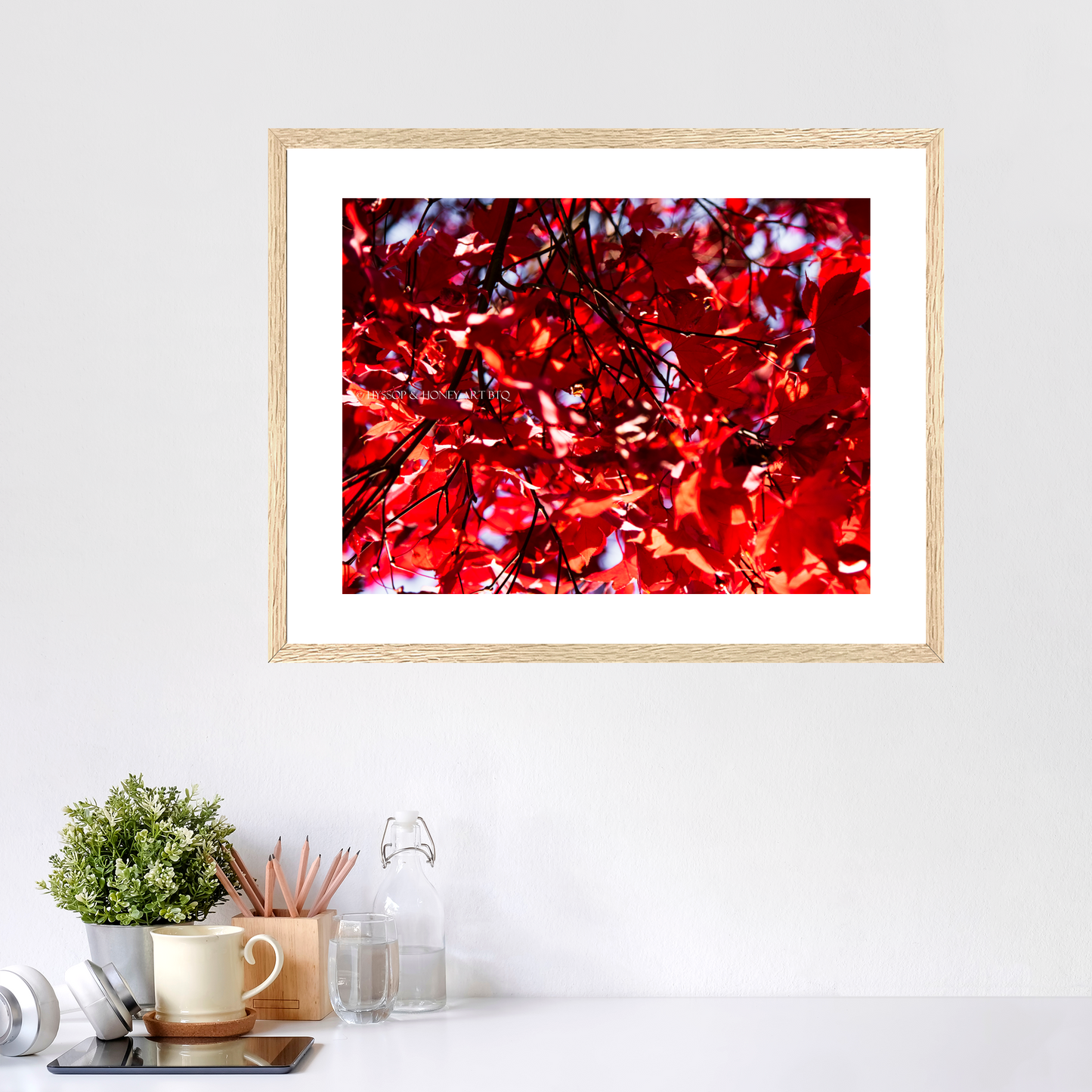 Red Maple / Left - Framed Prints