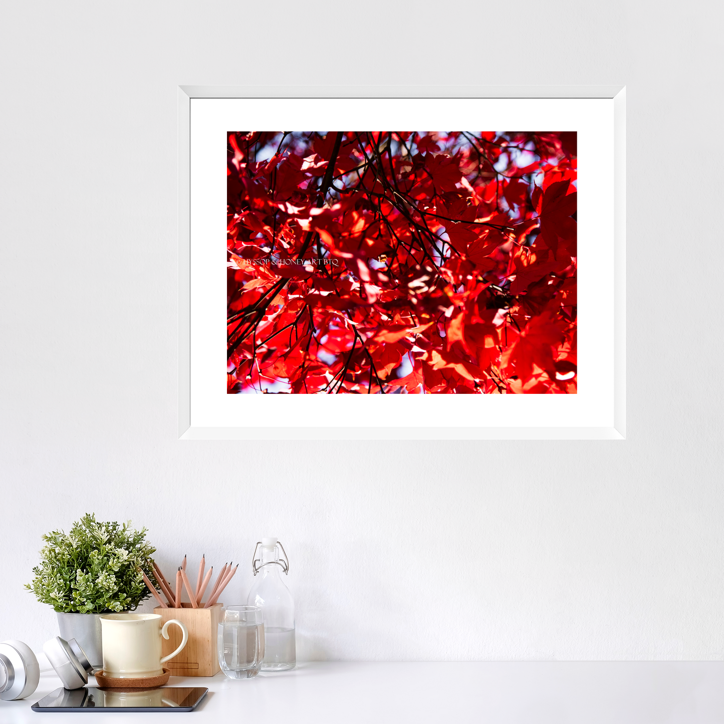 Red Maple / Left - Framed Prints