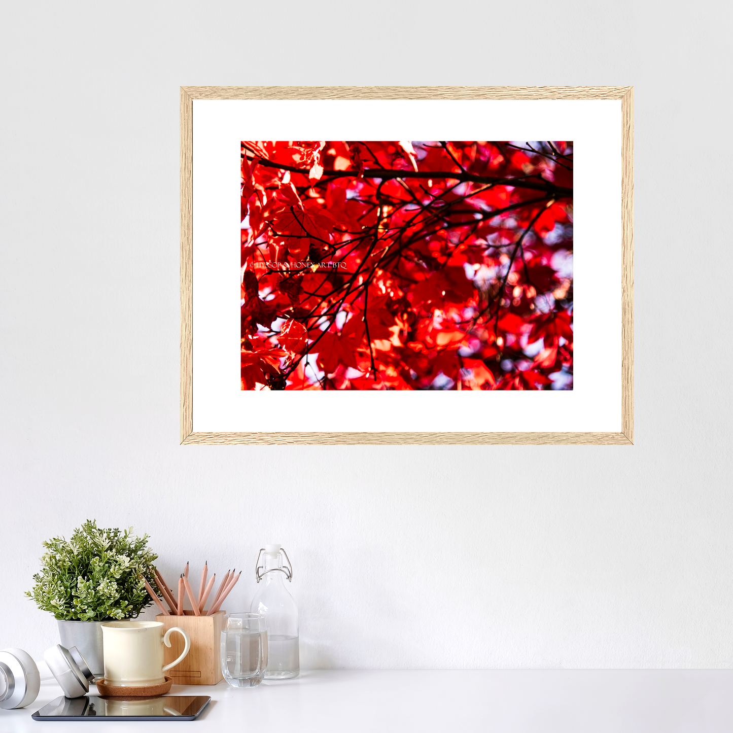 Red Maple / Right - Framed Prints