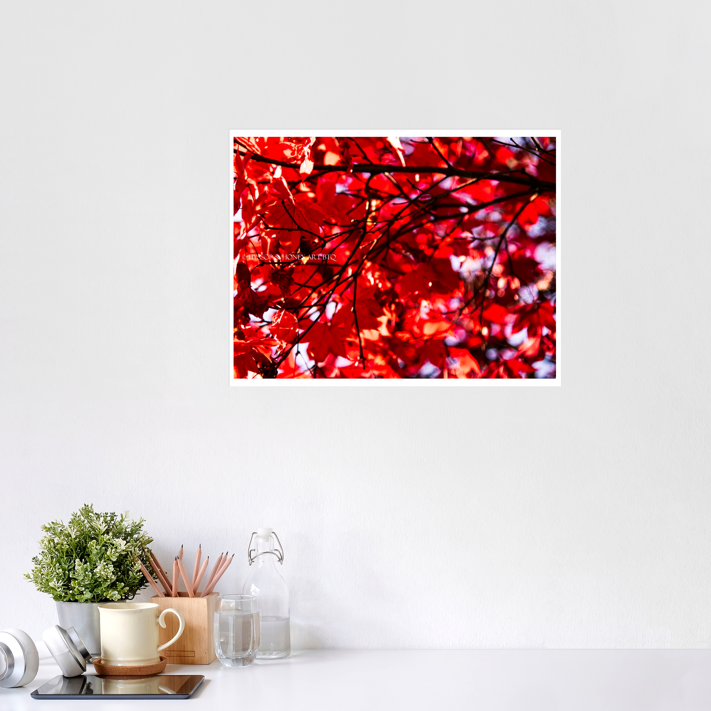 Red Maple / Right - Unframed Prints