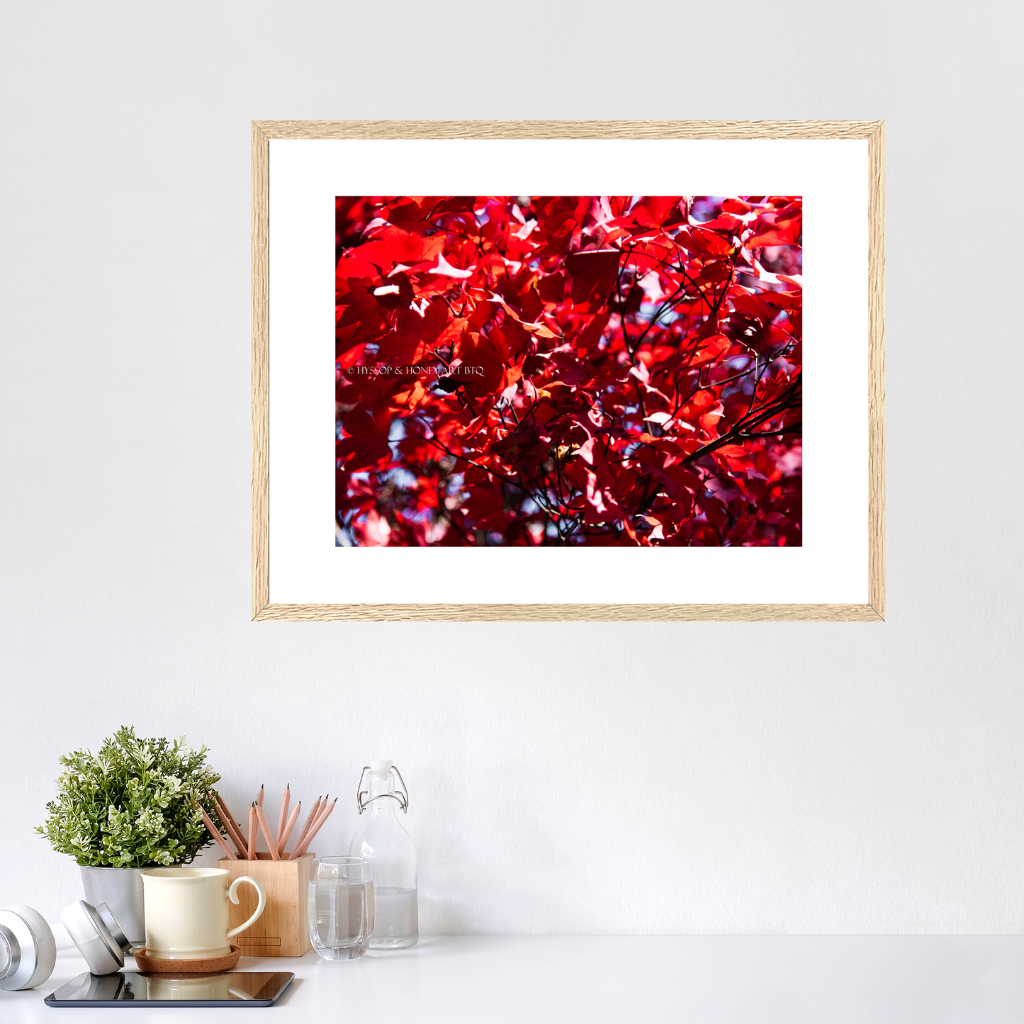Red Maple / Centered - Framed Prints