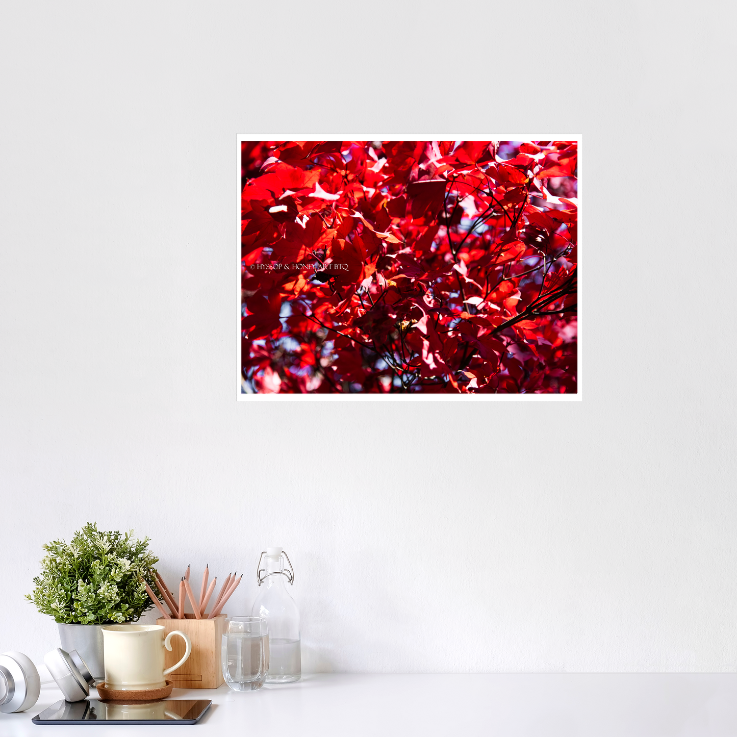 Red Maple / Centered - Unframed Prints