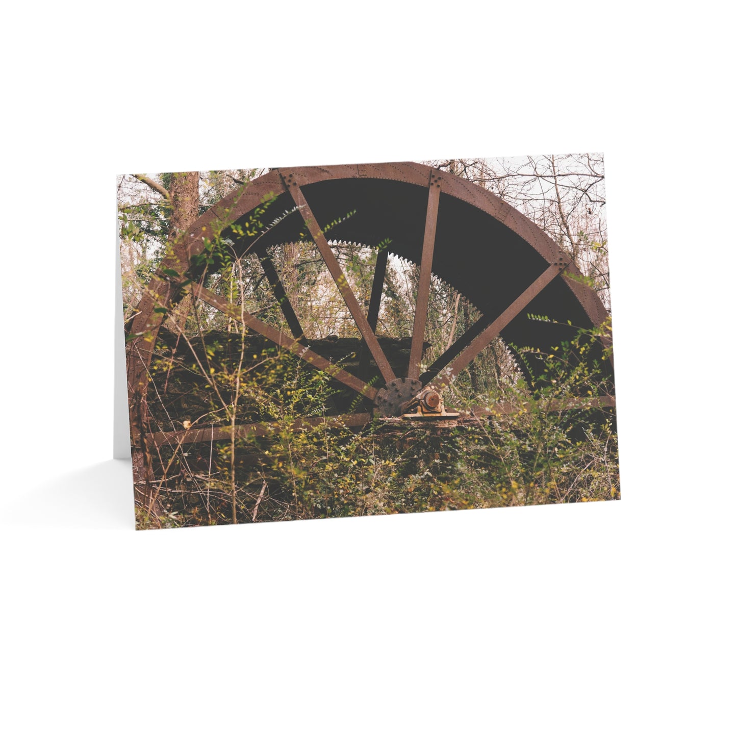 Mill Wheel - Greeting Cards