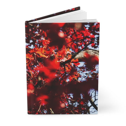 Red Maple: Hardcover Journal