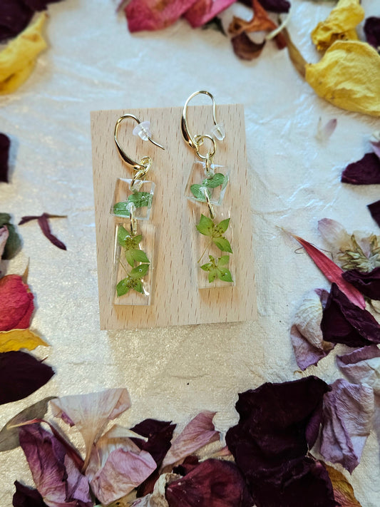 Pressed Flower Earrings - 36
