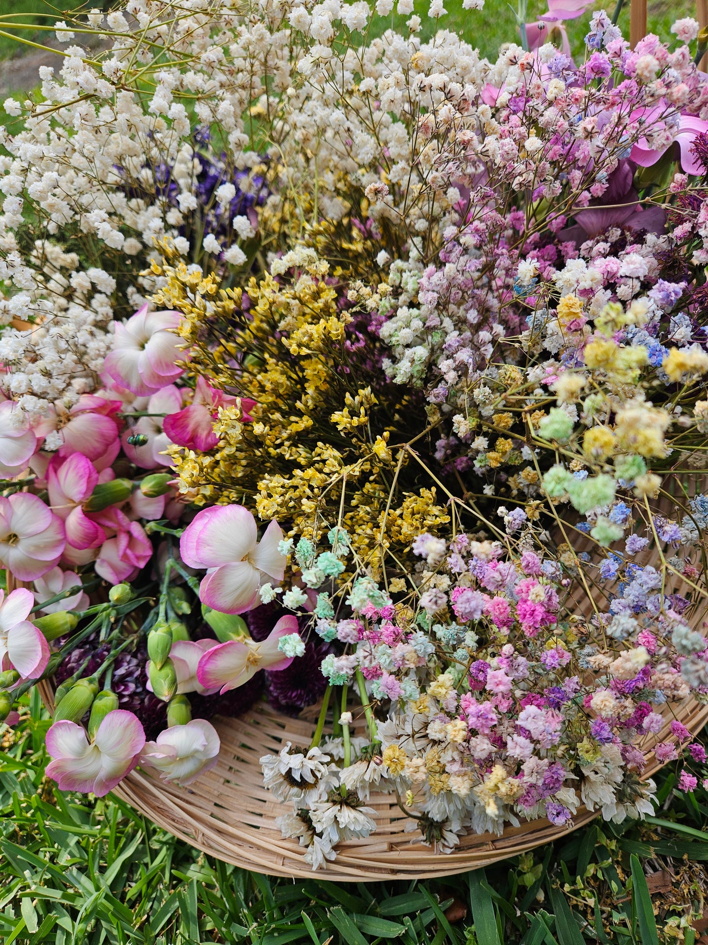 9.19.26 Dried Flower Wreaths Workshop