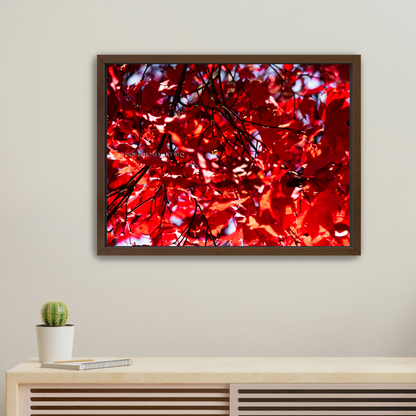 Red Maple / Left - Canvas