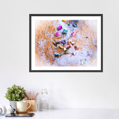 Salted Petals - Framed Prints