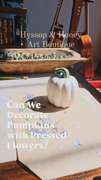 9.13.25 Petal Your Pumpkins Workshop