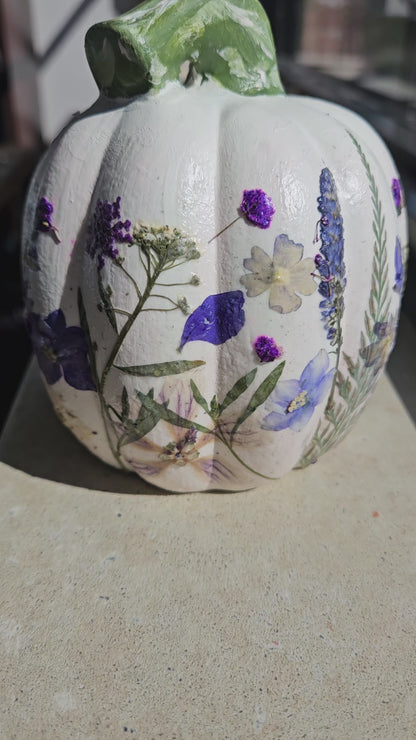 9.12.26 - Petal Your Pumpkins