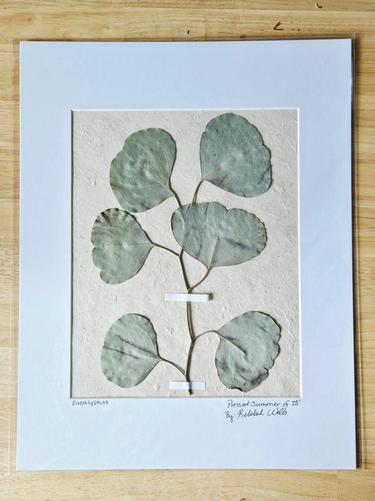 Matted Botanicals - 7