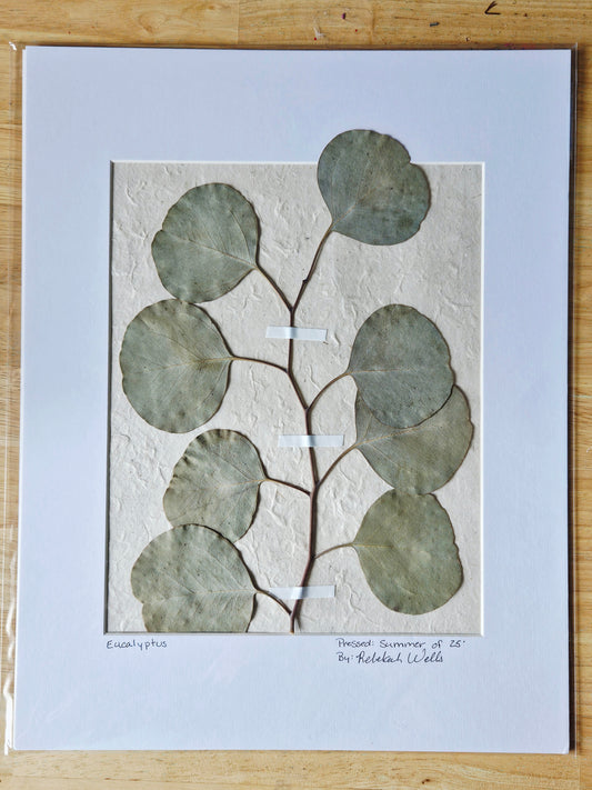 Matted Botanicals - 6