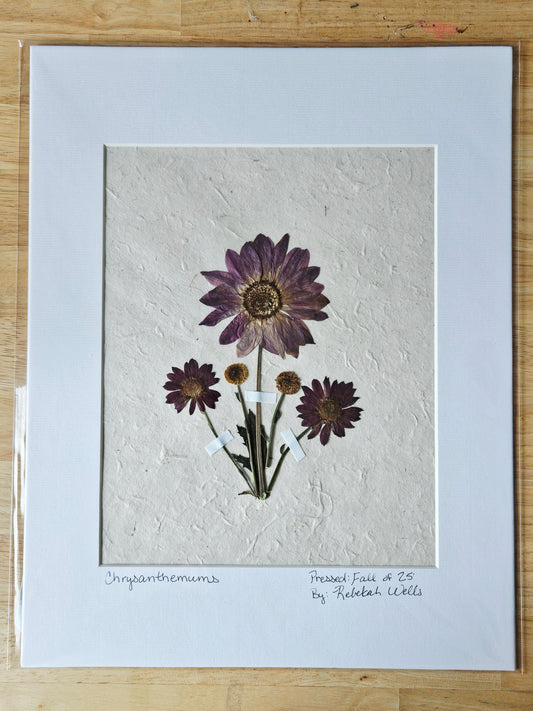 Matted Botanicals - 3