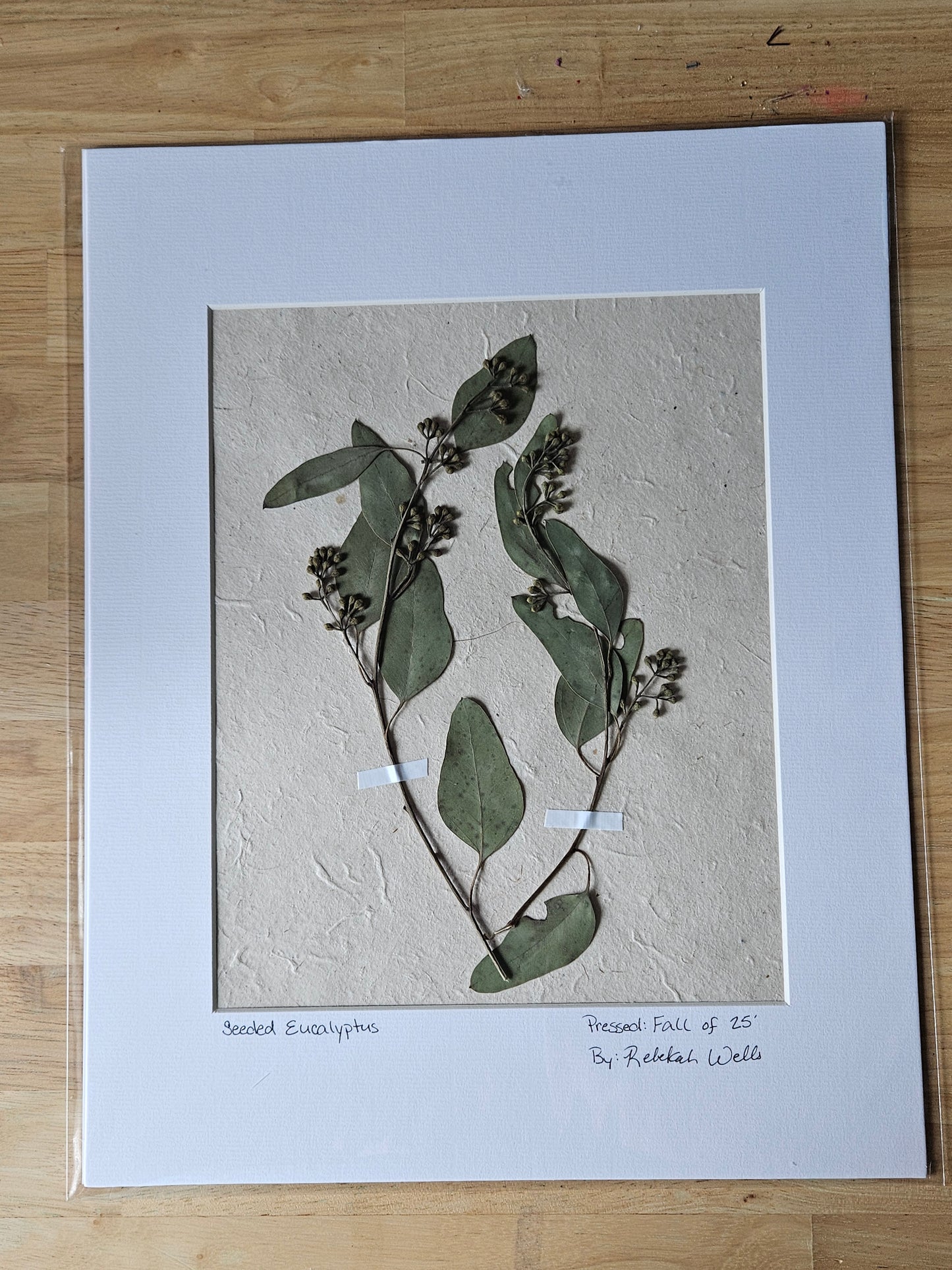 Matted Botanicals - 8