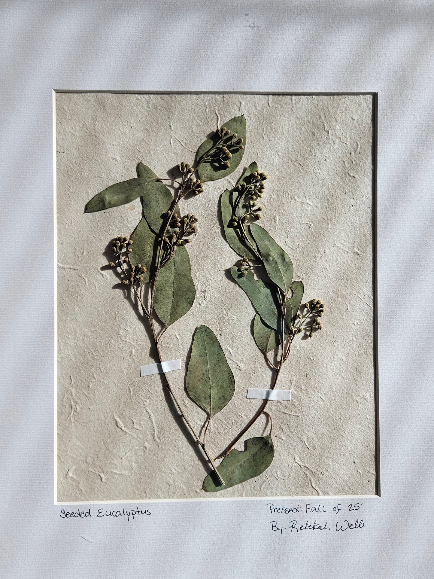 Matted Botanicals - 8