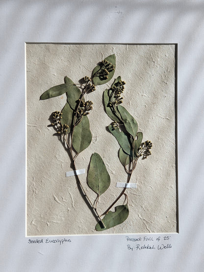 Matted Botanicals - 8