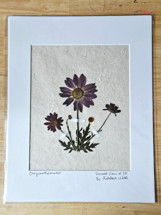 Matted Botanicals - 1